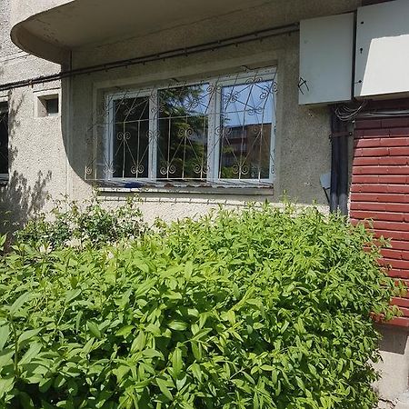 Apartamente Marian Braşov Quarto foto